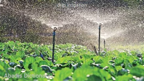 drip irrigation